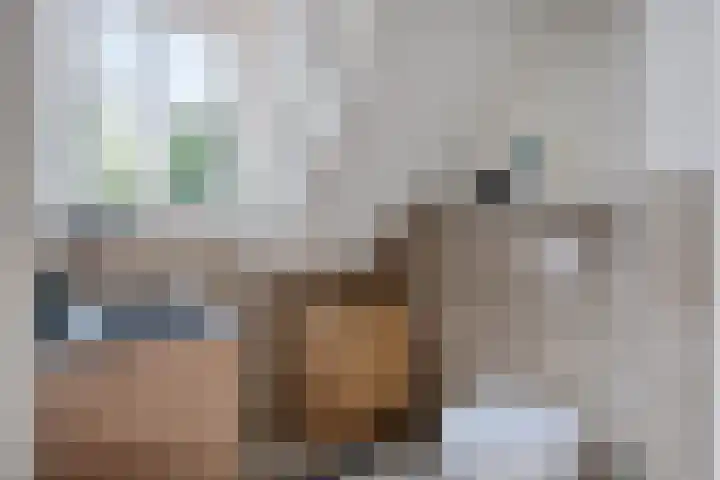 Entingheweg 2 Dwingeloo thumbnail 28