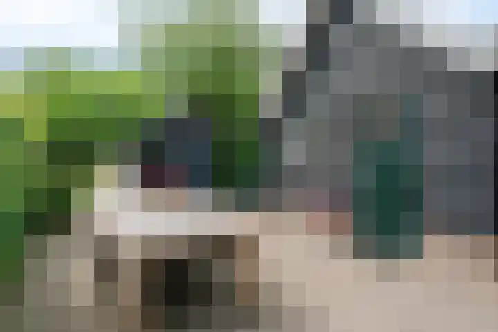 Entingheweg 2 Dwingeloo thumbnail 29