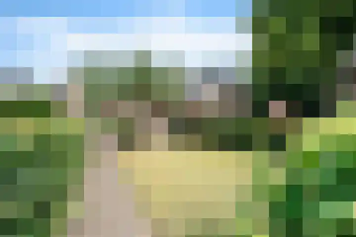 Entingheweg 2 Dwingeloo foto 3