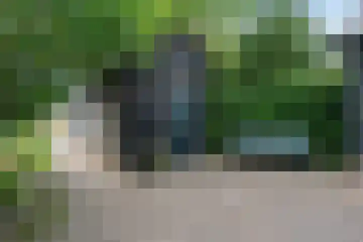 Entingheweg 2 Dwingeloo thumbnail 32