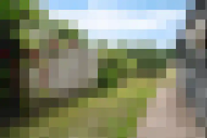 Entingheweg 2 Dwingeloo thumbnail 33