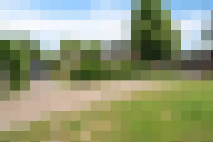 Entingheweg 2 Dwingeloo thumbnail 36