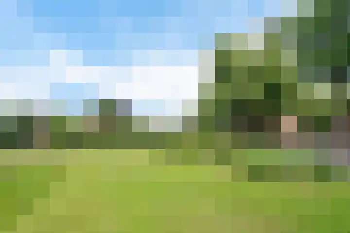 Entingheweg 2 Dwingeloo thumbnail 37