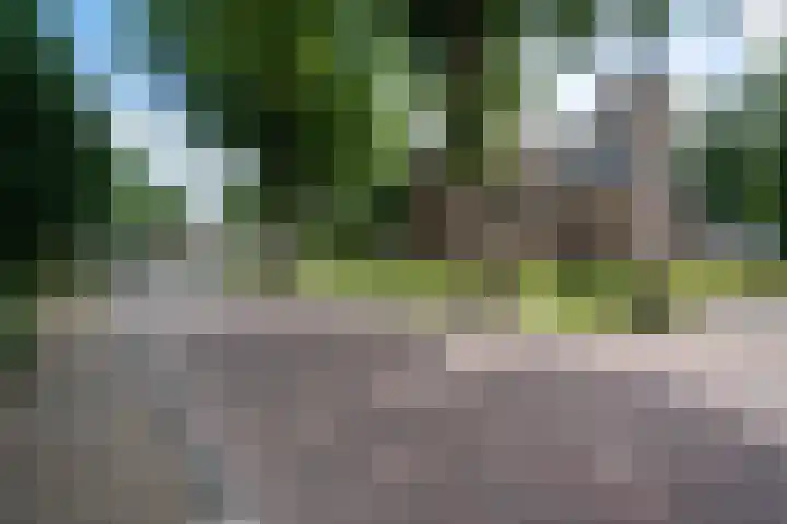 Entingheweg 2 Dwingeloo thumbnail 38