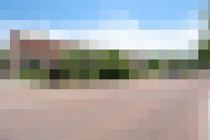 Entingheweg 2 Dwingeloo thumbnail 39