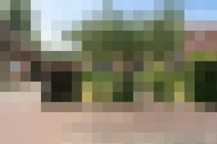 Entingheweg 2 Dwingeloo thumbnail 40