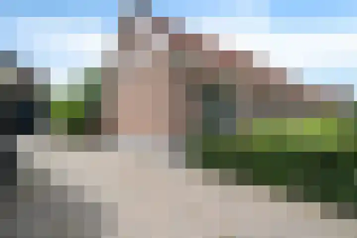 Entingheweg 2 Dwingeloo thumbnail 42