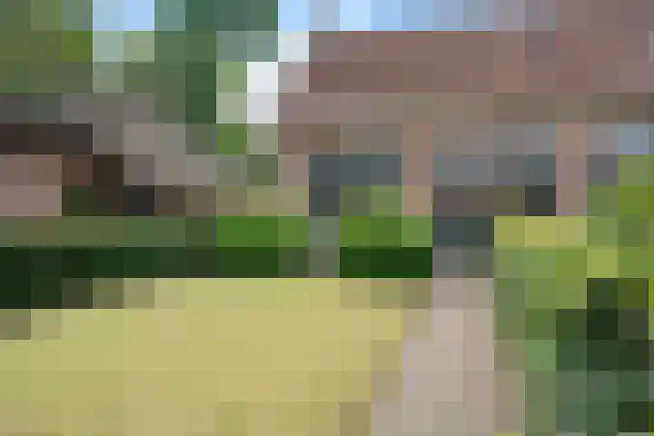 Entingheweg 2 Dwingeloo thumbnail 46