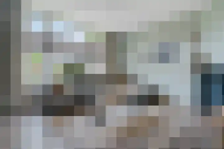 Entingheweg 2 Dwingeloo thumbnail 6