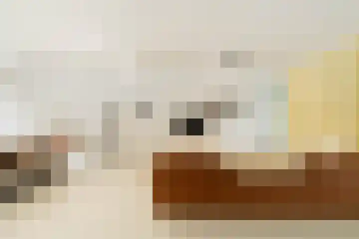 Entrepotdok 148 Amsterdam thumbnail 15