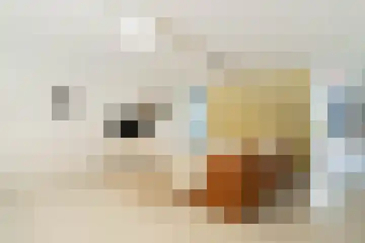 Entrepotdok 148 Amsterdam thumbnail 16