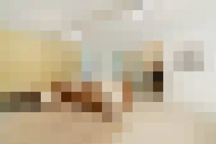 Entrepotdok 148 Amsterdam thumbnail 17