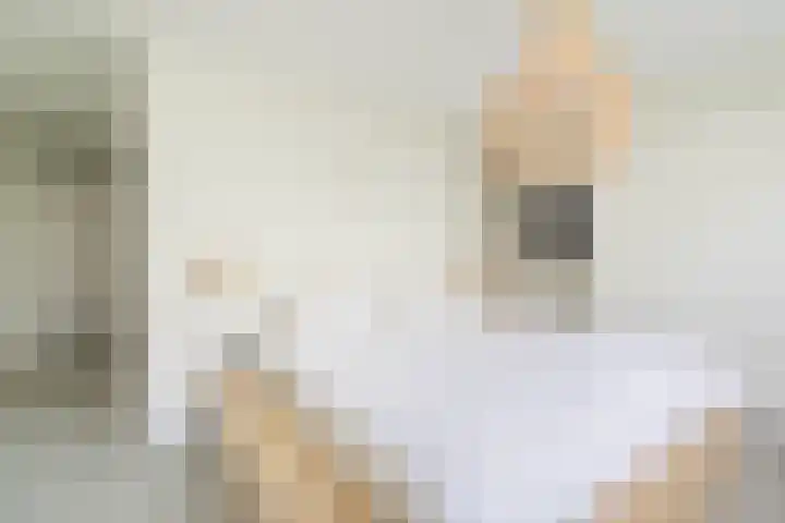 Entrepotdok 148 Amsterdam thumbnail 19