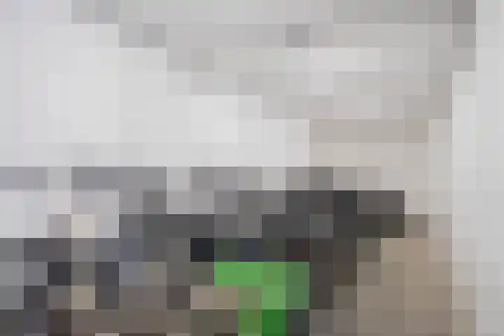Entrepotdok 148 Amsterdam thumbnail 34