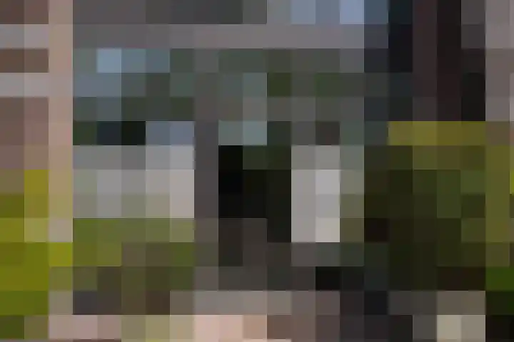Entrepotdok 148 Amsterdam thumbnail 41
