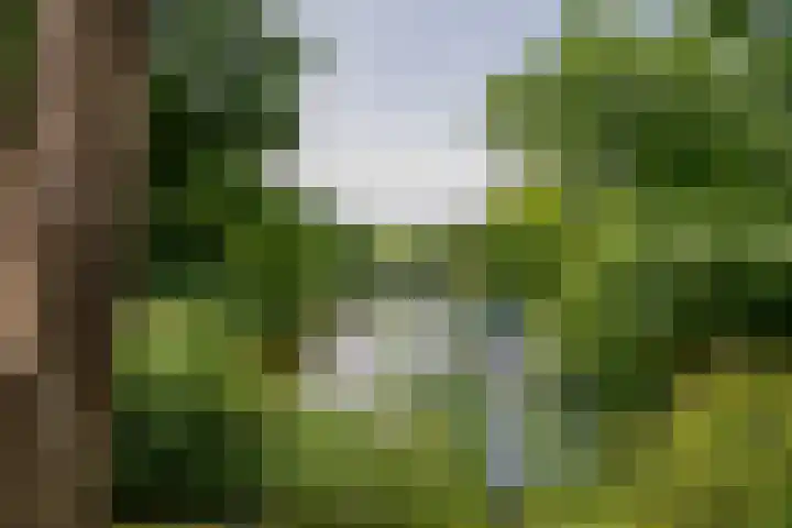 Entrepotdok 148 Amsterdam thumbnail 47