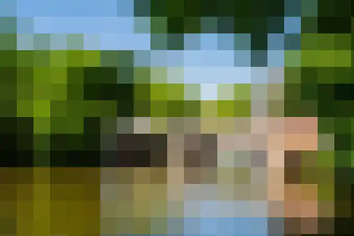 Entrepotdok 148 Amsterdam thumbnail 49
