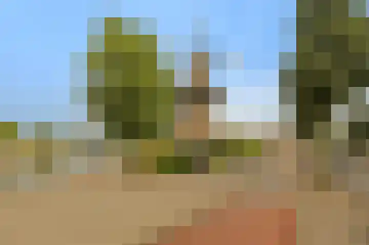 Entrepotdok 177 Amsterdam thumbnail 27