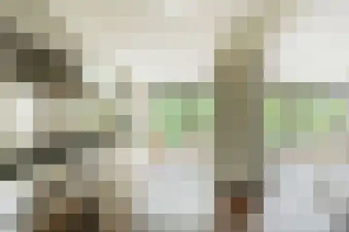 Entrepotdok 210 Amsterdam thumbnail 13