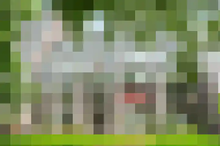 Entrepotdok 210 Amsterdam thumbnail 36