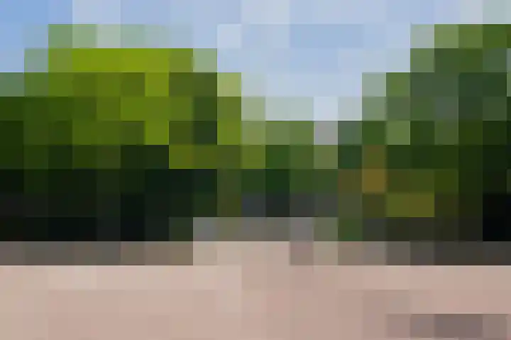 Entrepotdok 210 Amsterdam thumbnail 45