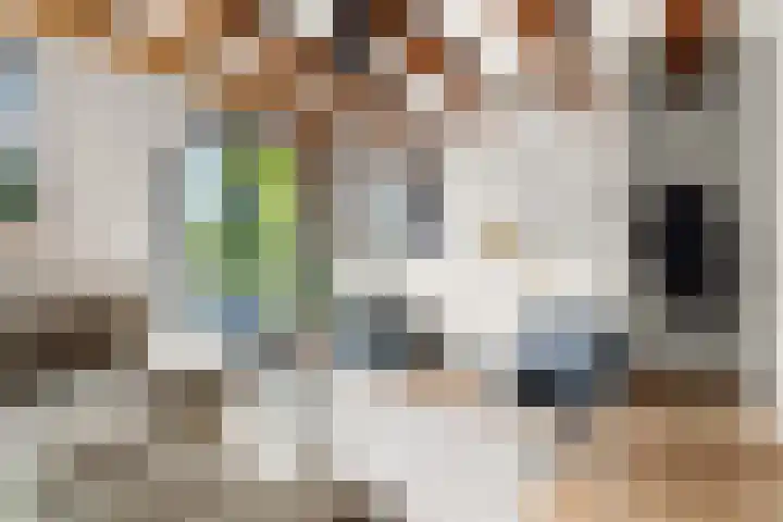 Entrepotdok 83 Amsterdam thumbnail 12