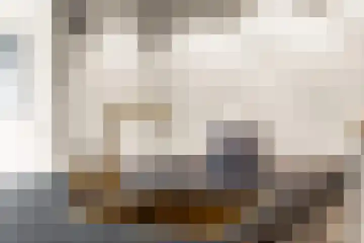 Entrepotdok 83 Amsterdam thumbnail 21
