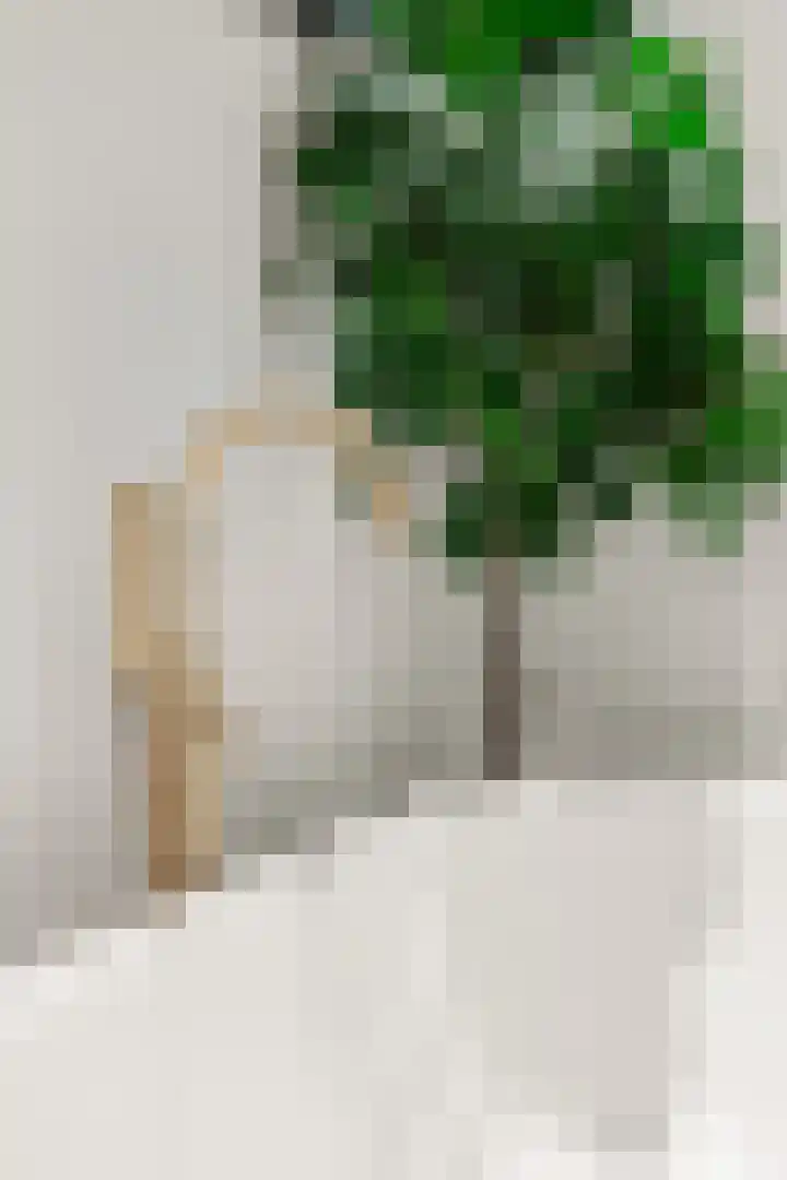 Entrepotdok 83 Amsterdam thumbnail 43