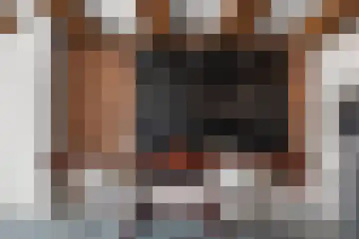 Entrepotdok 83 Amsterdam thumbnail 66