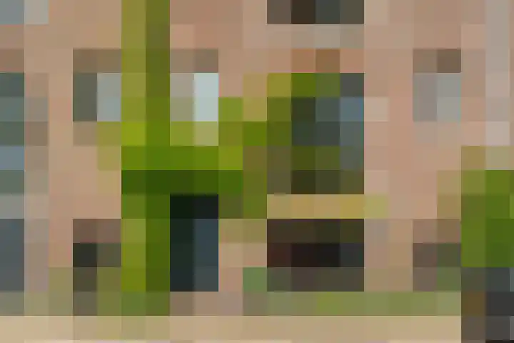 Entrepotdok 83 Amsterdam thumbnail 8