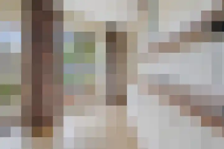 Entstraat 4 Oudenbosch thumbnail 16