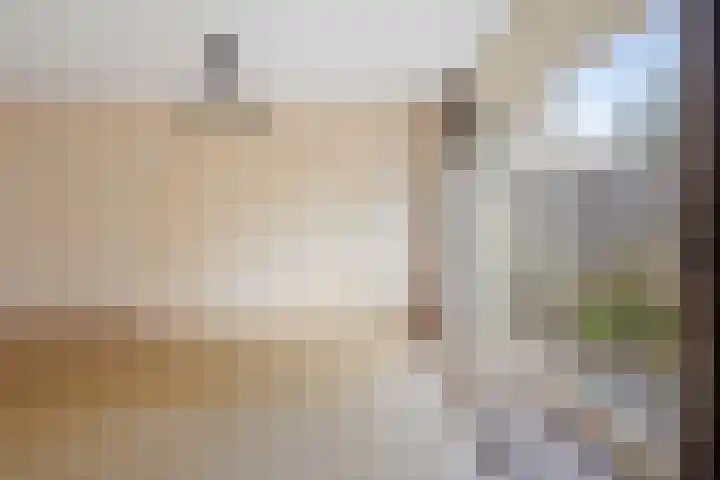 Entstraat 4 Oudenbosch thumbnail 18