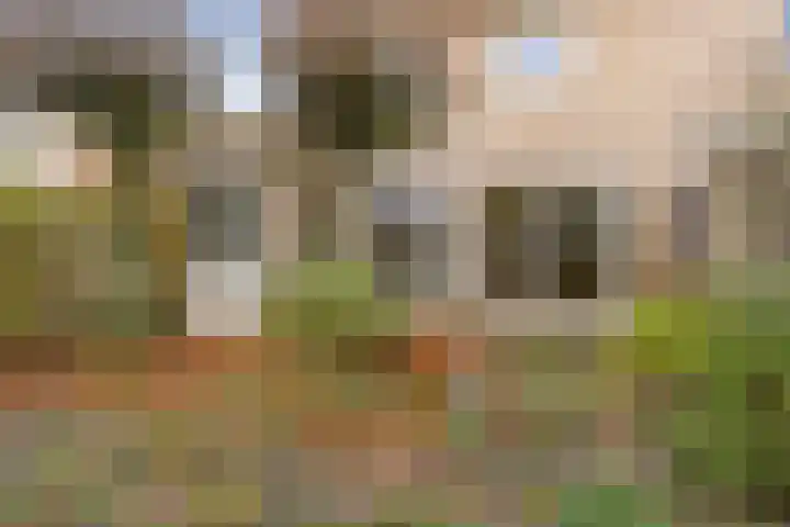 Entstraat 4 Oudenbosch thumbnail 43