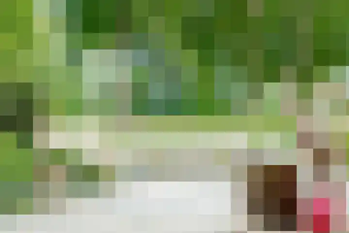 Epe 38 Assen thumbnail 20