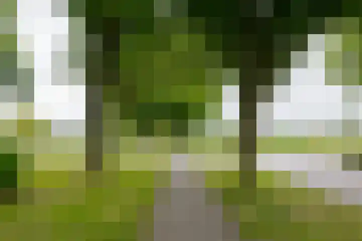 Epe 38 Assen thumbnail 4