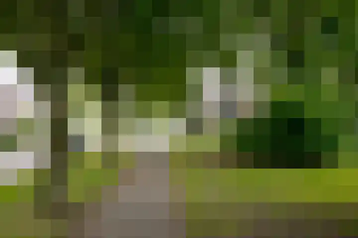 Epe 38 Assen thumbnail 5