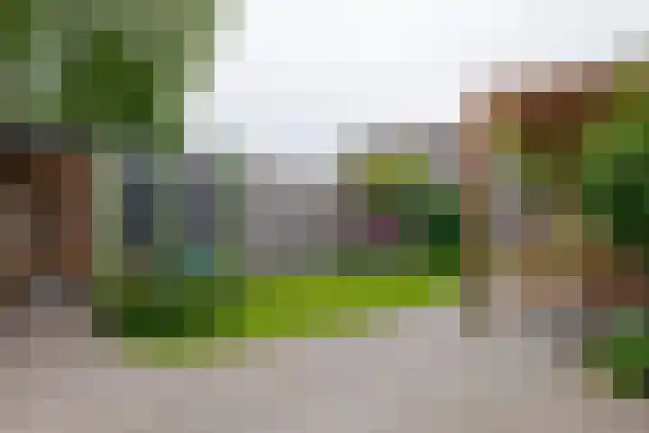 Epe 38 Assen thumbnail 57