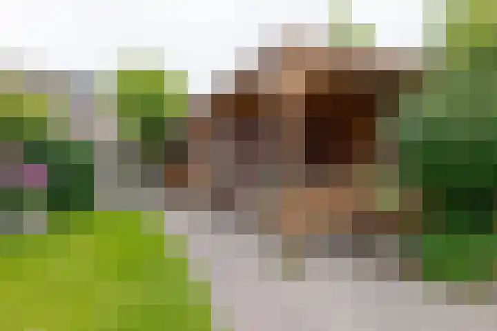 Epe 38 Assen thumbnail 58