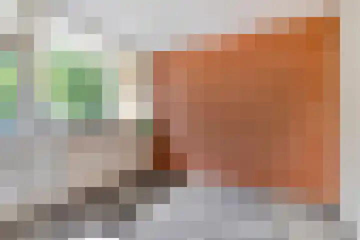 Epe 53 Assen thumbnail 15