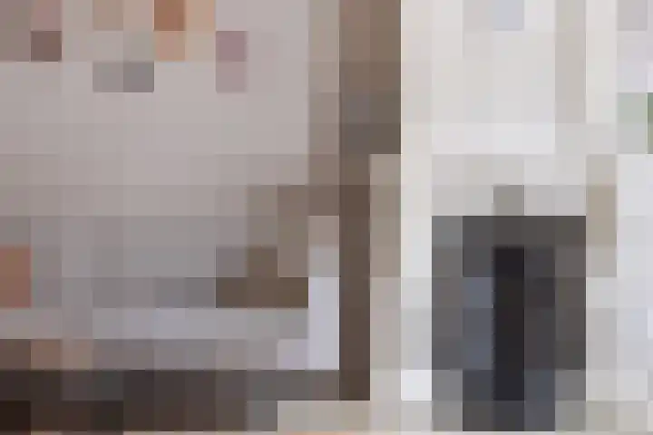 Epemawei 9 Ysbrechtum thumbnail 18
