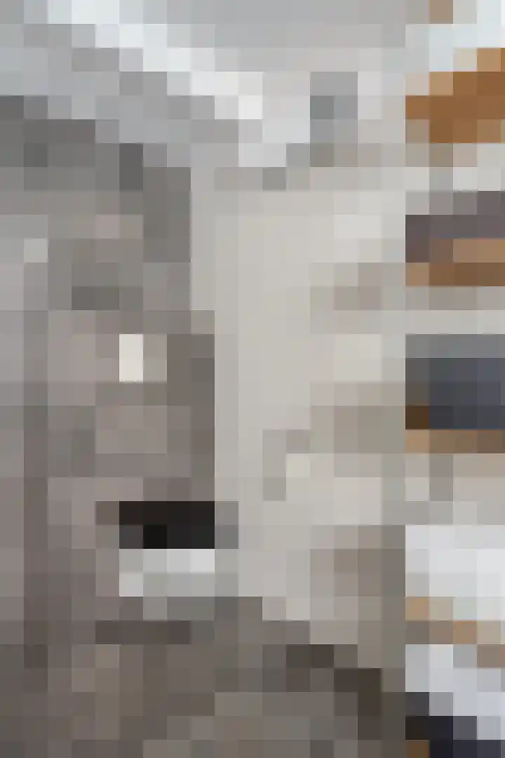 Epemawei 9 Ysbrechtum thumbnail 29