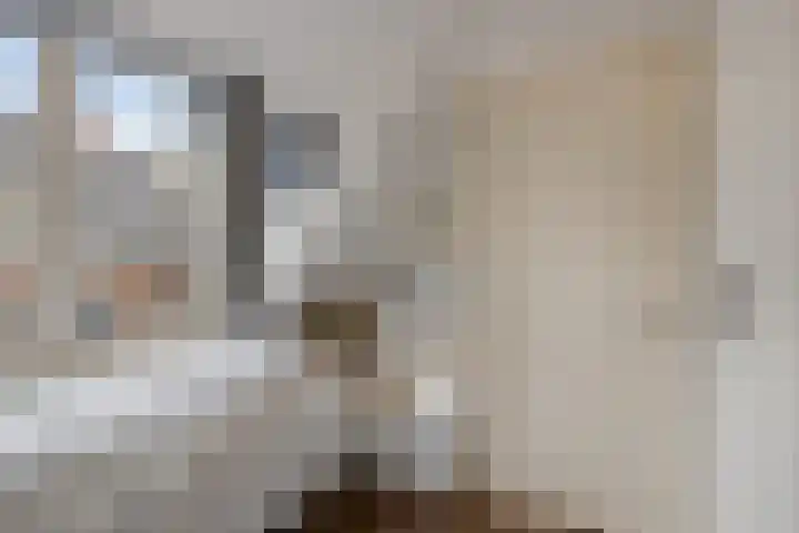 Epemawei 9 Ysbrechtum thumbnail 32