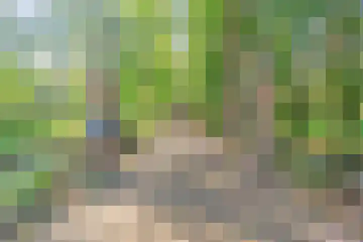 Epemawei 9 Ysbrechtum thumbnail 36