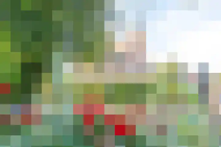 Epemawei 9 Ysbrechtum thumbnail 37