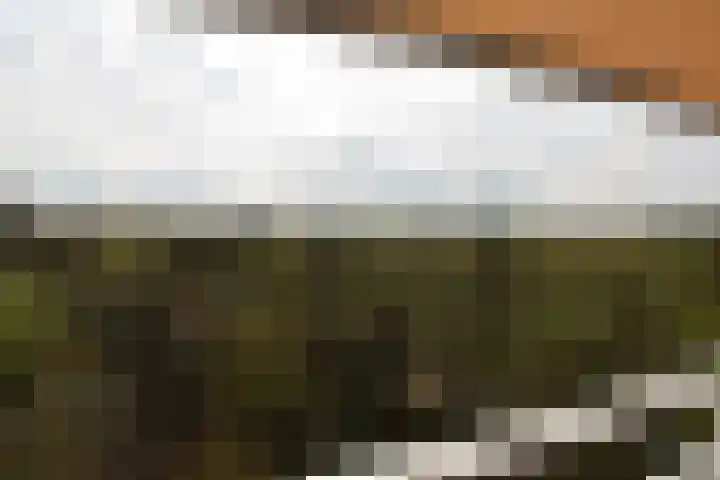 Eper Veste 109 Epe thumbnail 10