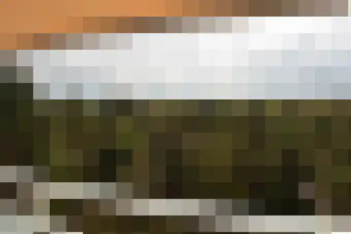 Eper Veste 109 Epe thumbnail 11