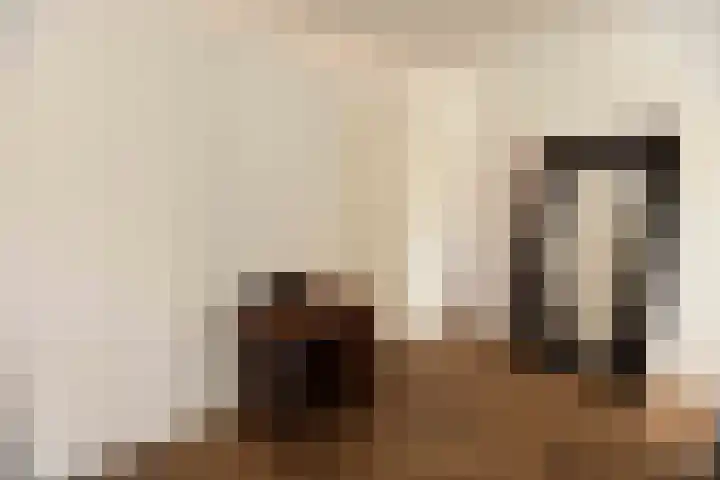 Eper Veste 109 Epe thumbnail 18