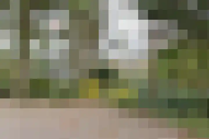 Eper Veste 109 Epe thumbnail 23