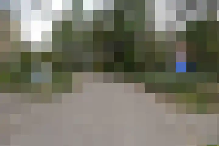 Eper Veste 109 Epe thumbnail 24