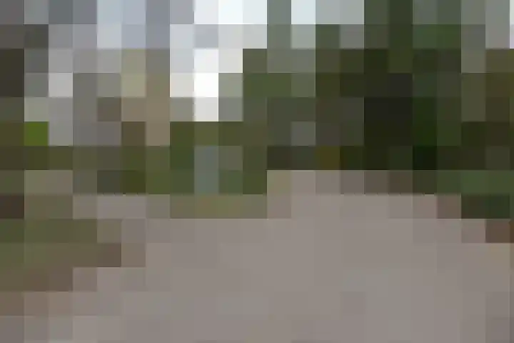 Eper Veste 109 Epe thumbnail 25